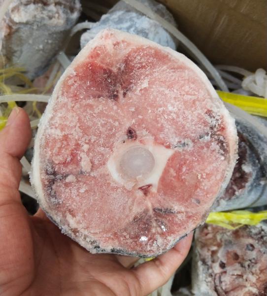 Palatable Whole Round 250g up Frozen Yellowfin Tuna tail  -60℃ For canned