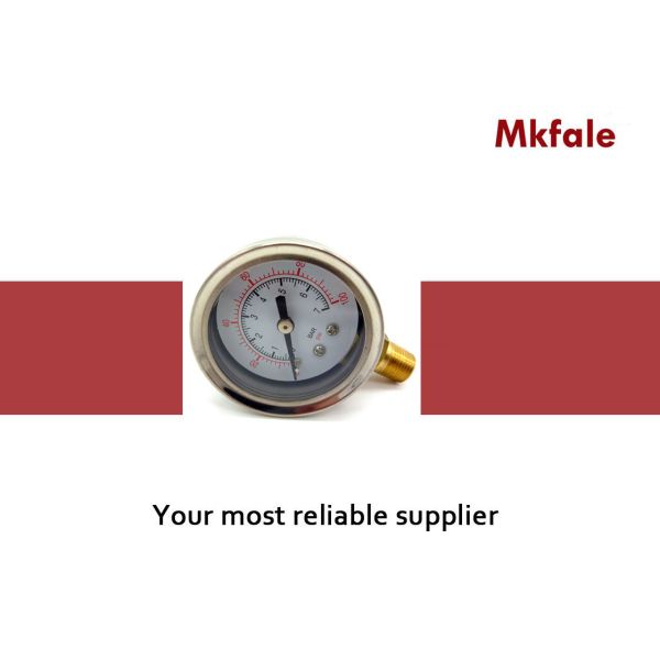 Пластиковая жидкость окна заполнила манометр 50мм для пневматического/гидравлической системы