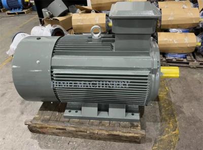 China Manufacture GOST Standard Premium Three Phase Induction AC Motor
