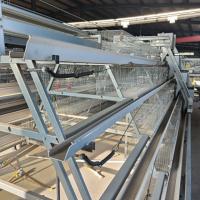 Q235 Galvanizado a quente Colheita automática de ovos de galinha Caixa tipo A para equipamento de criação de gaiolas de camadas