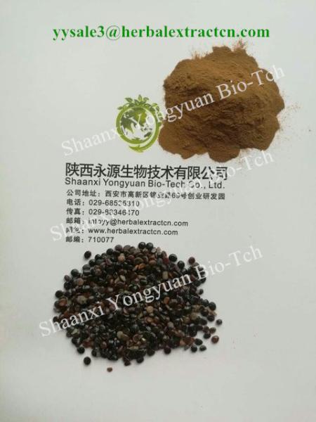 Chinese herbal extract manufacture, natural herb beverage ingredients, Oriental Raisin Tree Extract,  for drunkenness