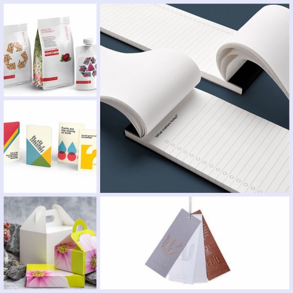 каменная бумага Белая бумага не сделала из утеса никакую писчую бумагу 140um направления зерна шелковистую ровную