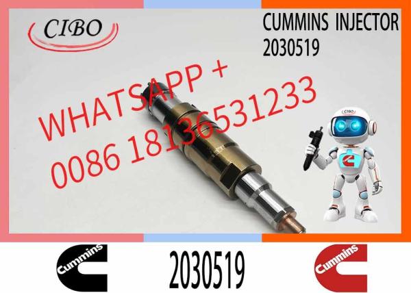 Injecteurs de carburant 2030519 Injecteur diesel à rail commun Pour camion Scania PGRT 2003-2008 FKN