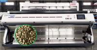 Pixel inteligente 220V 6.0kw de Bean Color Sorter Processing Equipment 5400 do café da remoção