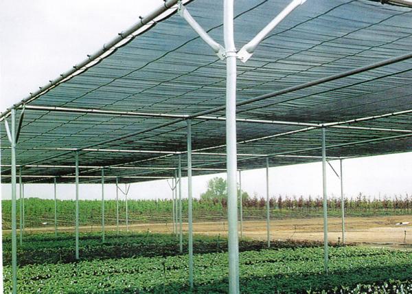 Customized Insect Protection Shade House Greenhouse Garden Shade House