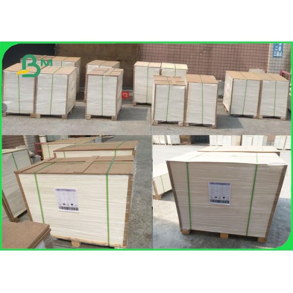 1 Side Coated C1S Paper 300 Gsm Size 25 X 35.5 Inch Boxes Paper