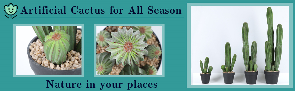 Artificial Succulent Plants - Realistic Artificial Flowering Cactus, Fake Succulent Plant Decor for Home Office