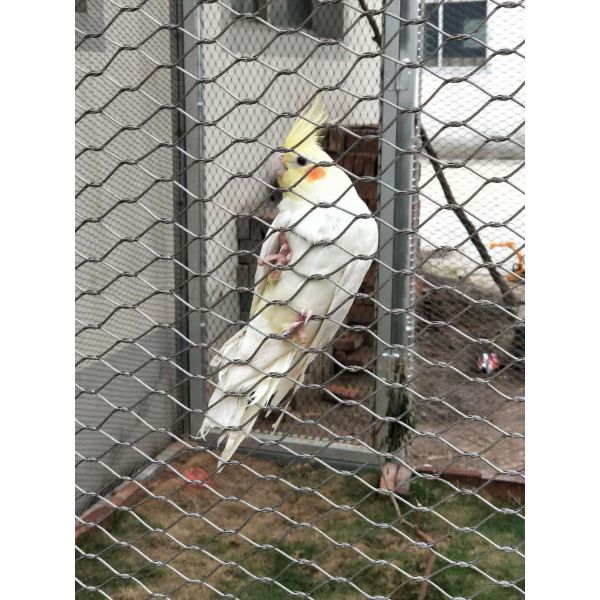 High Intensity Stainless Steel Woven Mesh , Hand Woven Stainless Steel Mesh