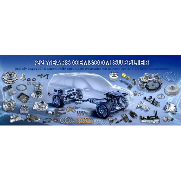 01M 01N Automatic Transmission Filter Replacement For VW Jetta Bora