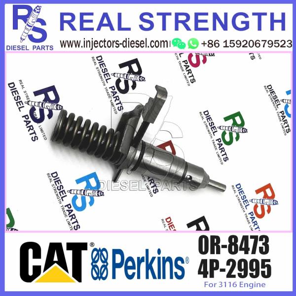 Hot sale Diesel Fuel Injector 4P-2995 4P2995 6I3669 0R-8471 0R8471 0R8475 0R8473 0R-8475 0R-8473 For 3114/3116 Engine