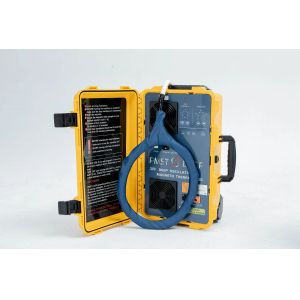 Veterinary Laser Therapy