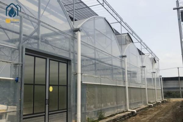 Agricultural Multi Span Strawberry Green House Plastic Shed Tomato Tunnel Greenhouse