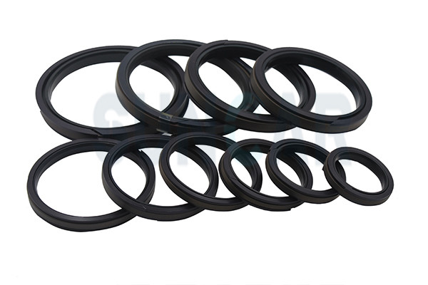PA Material SPGW-55 Piston Seals High Durability