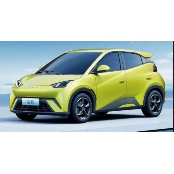 Высокая производительность в 2023 году Новый Byd Seagull EV полностью закрытый 4-колесный электромобиль