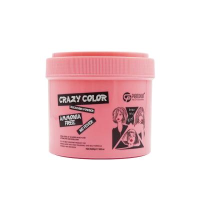 Convenient Professional Permanent Hair Color Powder 500G Ammonia Free Salon Use