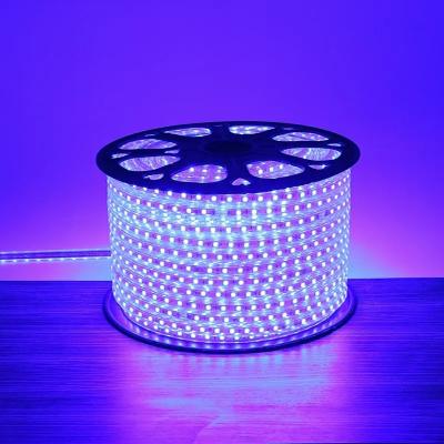 Snk Led Light Strip Smd 5050 Flex Decorating The Christmas Tree110V Etl Good for PVC