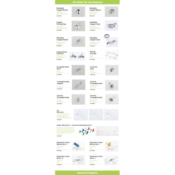 Класс I Стоматологическая область BIOM Медицинская языковая оболочка Ортодонтия с левым крюком