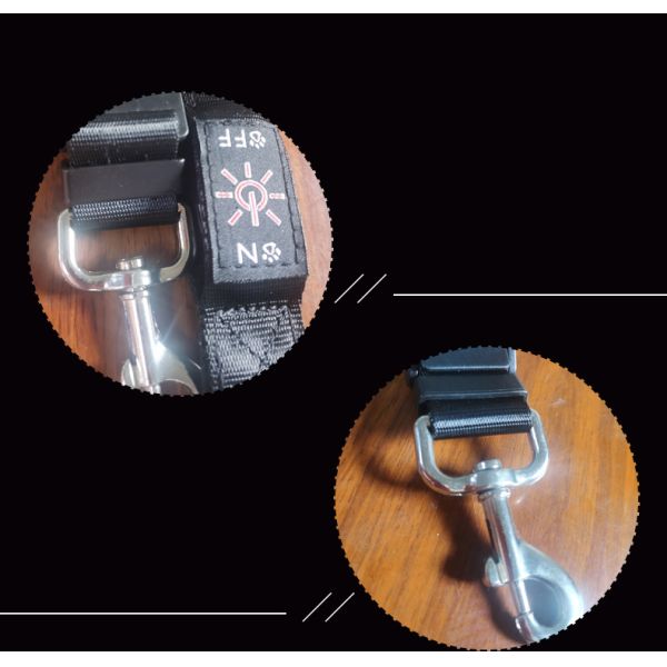 Rechargeable Led Dog Leash Illuminating Walking Night Glowing USB Rivet Decoration