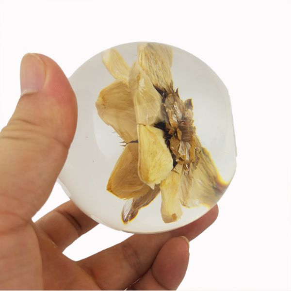 Пресс-папье цветка природы ясное, шарик пресс-папье смолы флористический