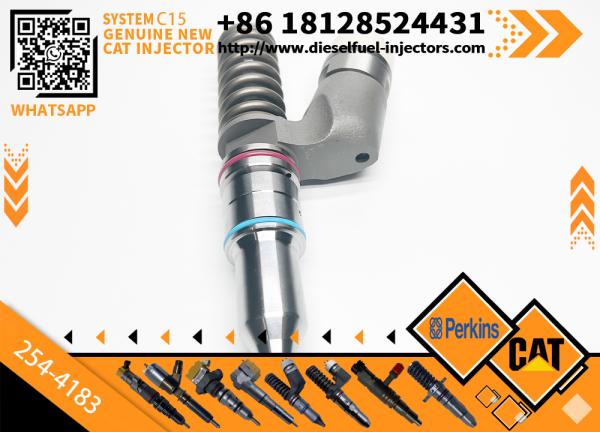 254-4183 294-3500 Injecteur de carburant pour le rail commun Pour moteur Caterpillar C15 C18 2544183 2943500 Ensemble d'injecteurs diesel