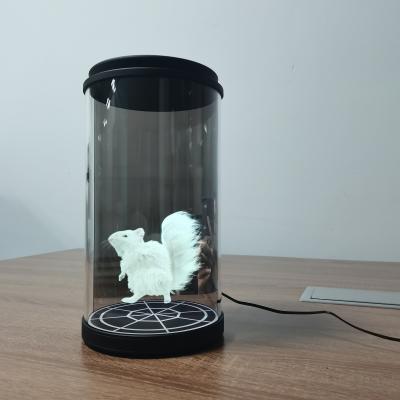 Holographic 3D Technology Display 5.5 10.1 21.5 Inch Hologram Cylinder With Ai Interactive