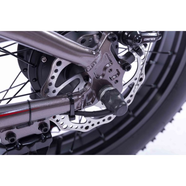 21 Speed Electric Mountain Bicycles 26 Inch Motor 250w 8AH Hidden Battery