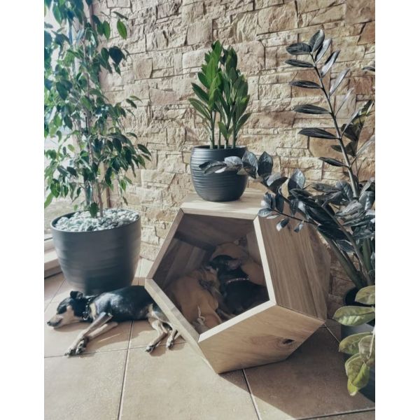 Household Storage Container Cat Bed Cave in Modern Design with Solid Wood and Side Table
