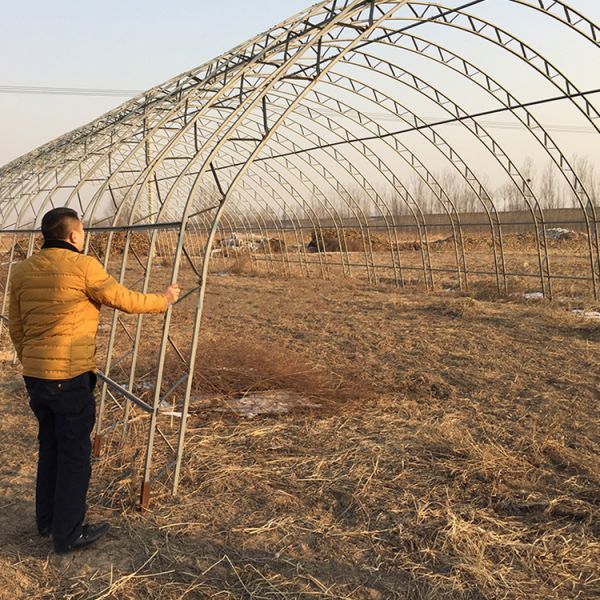 Double Film Double Arches Greenhouse Vegetable Growing 2.8m Tunnel Plastic Greenhouse