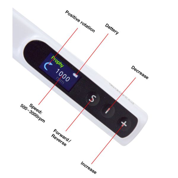 Dental Cordless Polishing Wireless Electric Motor With Prophy Angles Machine  Dental Tools