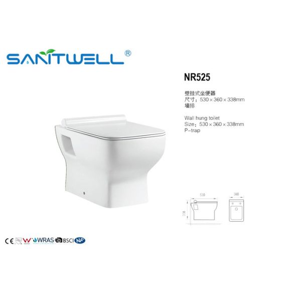 Bowl Dual Flush Ceramic Toilet Wall Mount Soft WC Closing Quick Release Seat Included