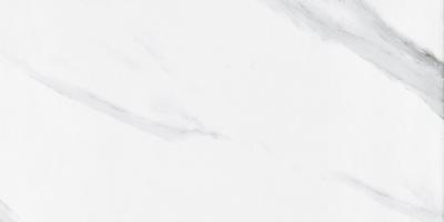 12  X 24  Ceramic Tile That Looks Like Marble Strong Abrasive Resistance