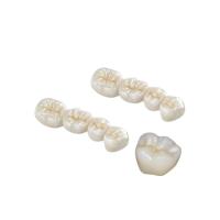 Serviço alto do OEM de Biocompatibility da coroa dental profissional da zircônia