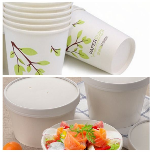 Покрытая складывая доска коробки 17.7мм 160 + складывая доска коробки 10г с УПРАВЛЕНИЕМ ПО САНИТАРНОМУ НАДЗОРУ ЗА КАЧЕСТВОМ ПИЩЕВЫХ ПРОДУКТОВ И МЕДИКАМЕНТОВ покрытым пластмассой одобрило водоустойчивое