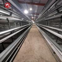 Tipo automático moderno gaiola do equipamento de cultivo H da galinha de grelha da grelha das aves domésticas para Nigéria