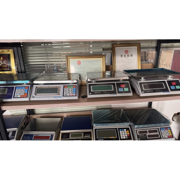 180kg Rated Load Precision Digital Weigher with Advanced Computing Technology