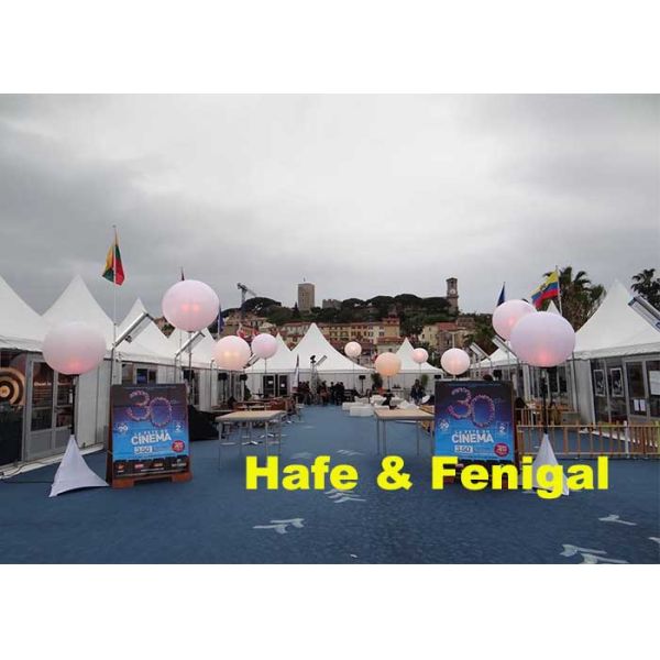 DMX512 Controled Wedding Night Club Inflatable Lighting Balloon