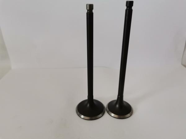 Mitsubish Airtrek 2.4 16v Diesel Engine Valve 4160A with Steel Material