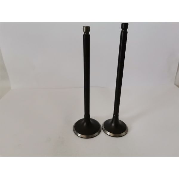 Mitsubish Airtrek 2.4 16v Diesel Engine Valve 4160A with Steel Material