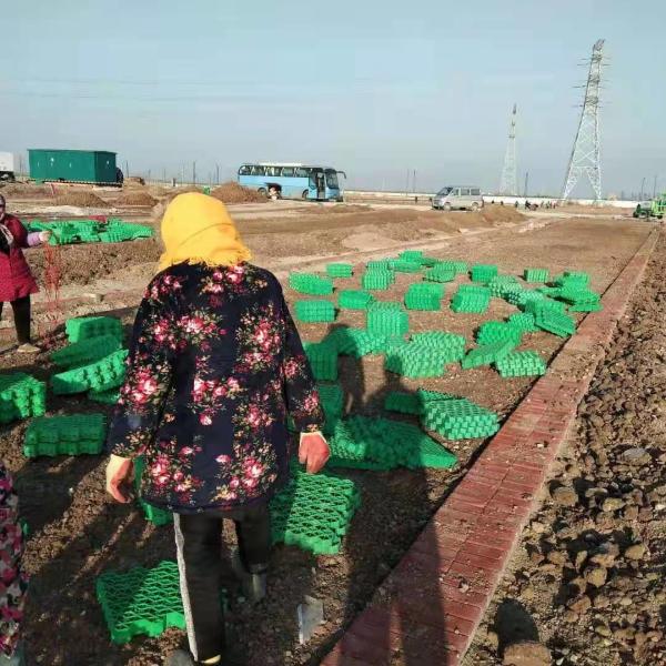 Tenglu HDPE Plastic Grass Paver Grid for Parking Lot and Driveway Free Spare Parts