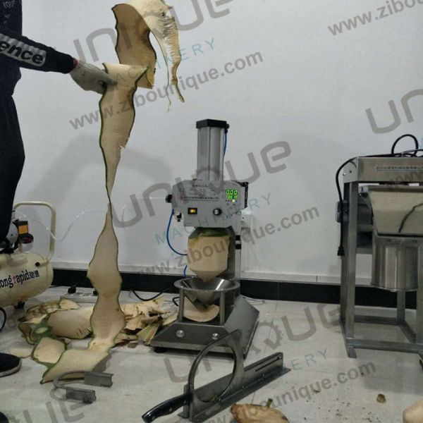 Máquina de procesamiento de cocos para pelar eficientemente una variedad de vegetales de raíz