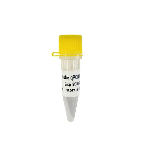 HS Probe qPCR Mix for DNA real time PCR