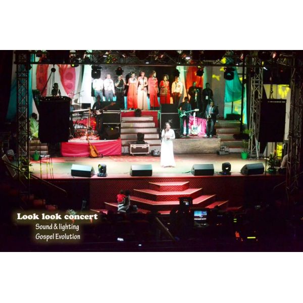 Church Sound Systems Horn Monitoring Speaker