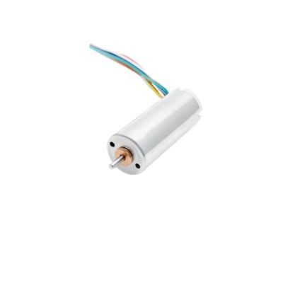 Moteur sans pinceau sans fente de 12 mm Micromotor à capteur 6.5W 25310 tours par minute Personnalisable pour les pompes médicales
