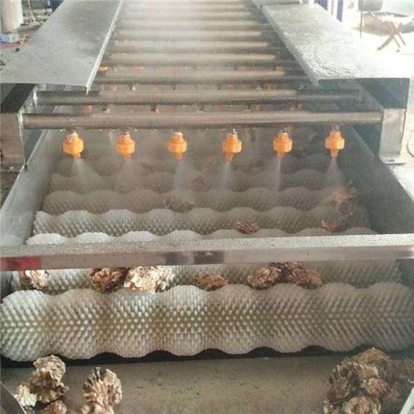 440В машина для очистки пищевых продуктов Промышленная машина для мытья овощей для оливков Авокадо