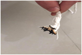 Chama de grande resistência - enchimento retardador, fio de algodão do poliéster para o enchimento do fio