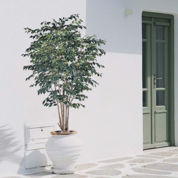 Large 280 cm 250cm Anti-Ultraviolet Large Fake Plants Banyan Tree Bonsai Plant Plastic Garden Supplies for Home Garden