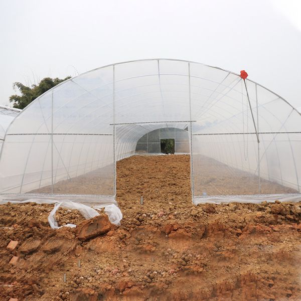 Fruits Growing Agricultural Polyethylene Film Greenhouse Hot Dip Galvanized