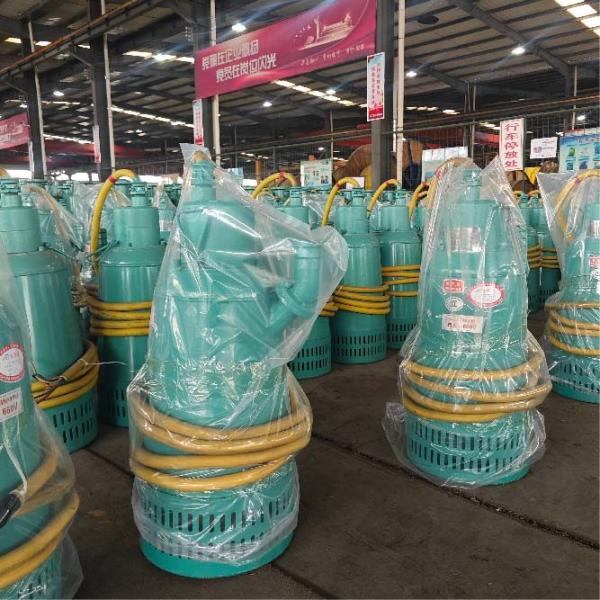 Flood Removal And Agricultural Portable Submersible Water Pump 15m³/H 30m 4kw 1hp-10hp