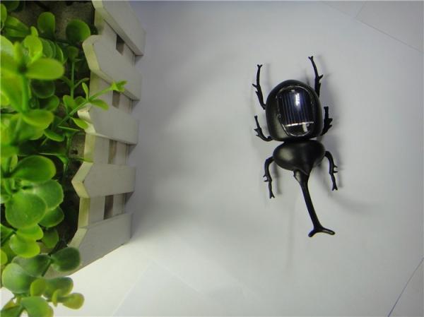 Promotional Solar Toys Solar Powered Beetle Insect Knowledge Educational Toys Multiage Kids Toys