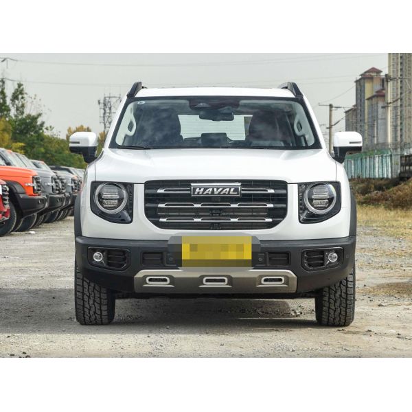 Соответствовать верхней части автоматического привода собаки 2.0T SUV Haval большой